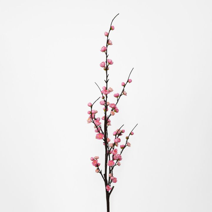 Japonica Blossom Stem 120cm Pink