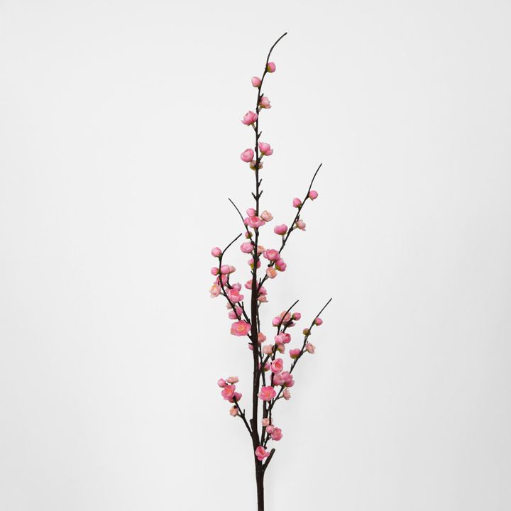 Japonica Blossom Stem 120cm Pink