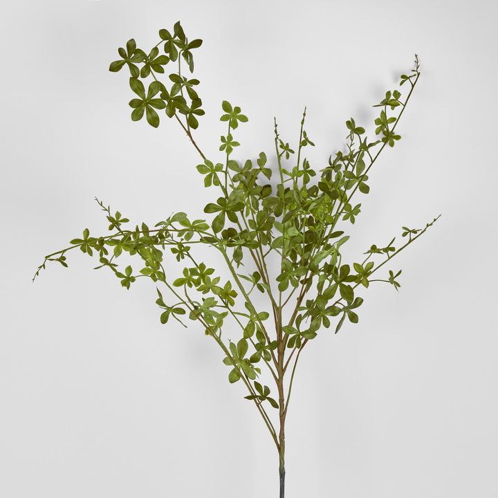 Ekianthus Leaf Spray 122cm