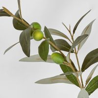 Olive Spray 76cm