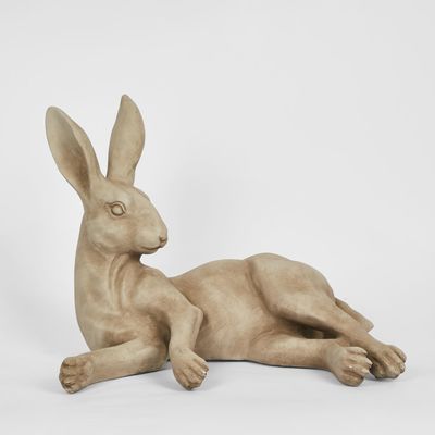 Henry Hare Lying Brown