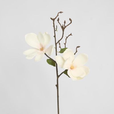 Magnolia Stem 70cm White