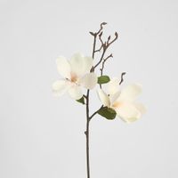Magnolia Stem 70cm White