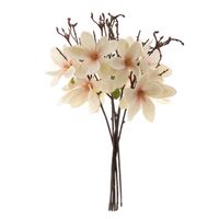 Magnolia Stem 70cm White