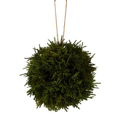 Cypress Hanging Ball Green 15cm