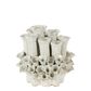 Tubular Coral Ceramic Vase White