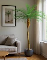 Phoenix Palm Tree 300cm