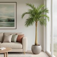 Majesty Palm Tree 240cm