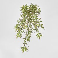 Ruscus Hanging Bush With Berries