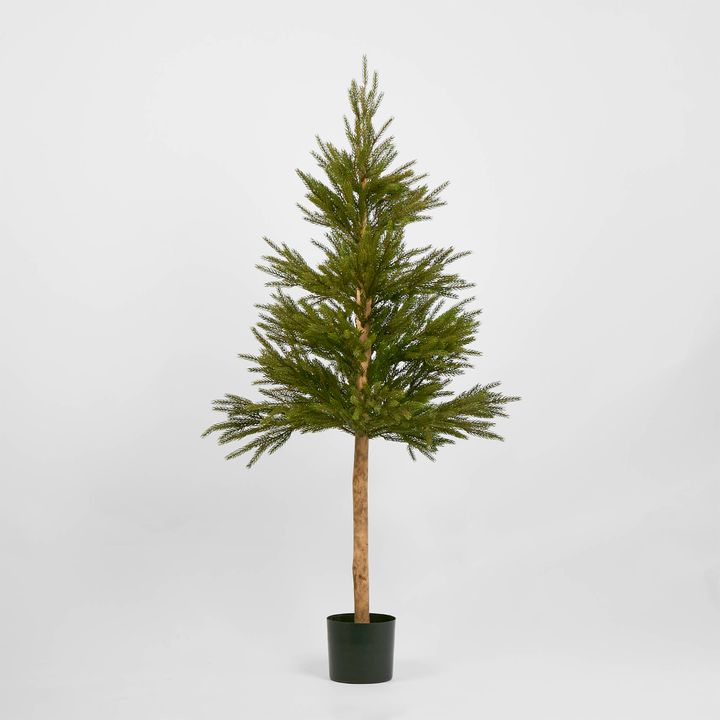 Scandi Spruce Tree 150cm