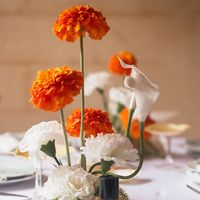 Marigold Spray Orange