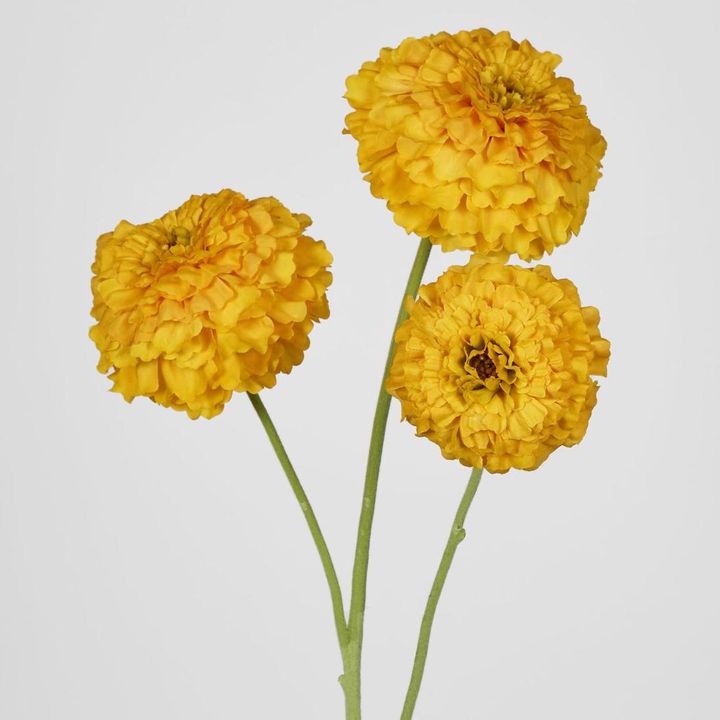 Marigold Spray Yellow