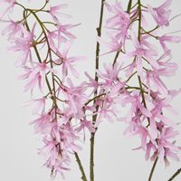 Wisteria Spray Pink