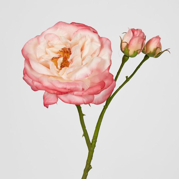 Real Touch Angelina Rose Spray Pink