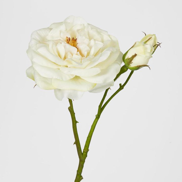 Real Touch Angelina Rose Spray White