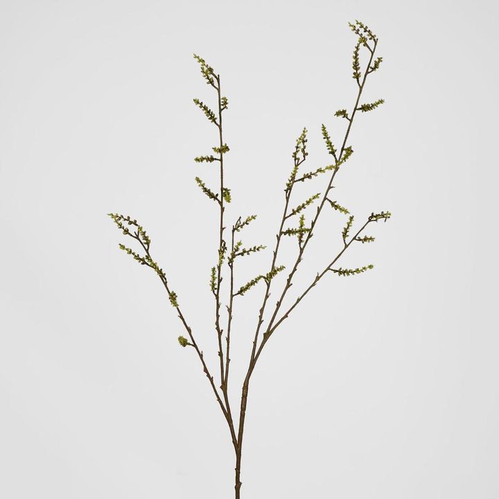 Stachyurus Leaf Spray