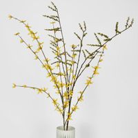 Stachyurus Leaf Spray
