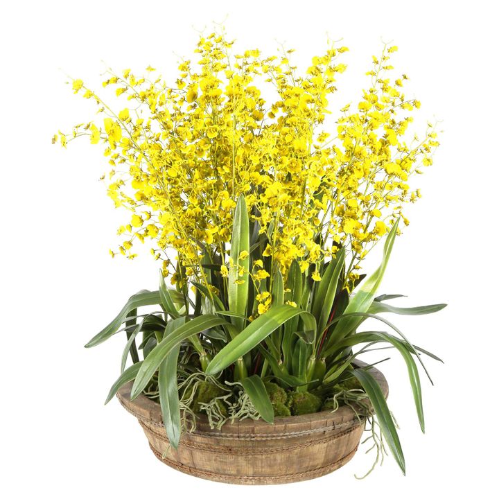 Mikaela Yellow Dancing Orchid Arrangement