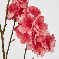 Peach Blossom Spray 118cm Light Pink