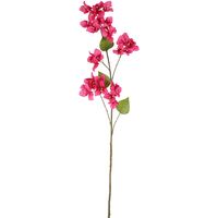 Bougainvillea Spray 118cm Beauty