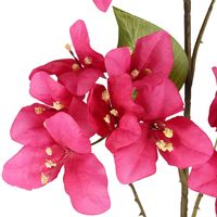 Bougainvillea Spray 118cm Beauty