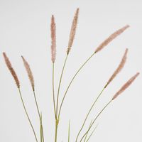 Foxtail Spray Pink