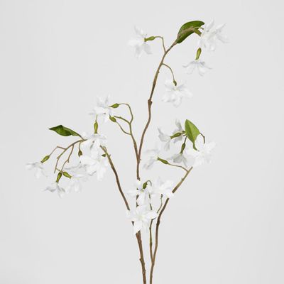 Wild Clematis Spray
