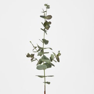 Eucalyptus Spray 74cm Dark Green