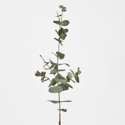 Eucalyptus Spray 74cm Dark Green