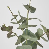 Eucalyptus Spray 74cm Dark Green