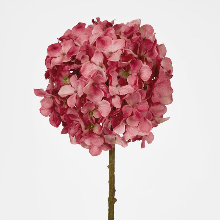 Ball Head Hydrangea Pink