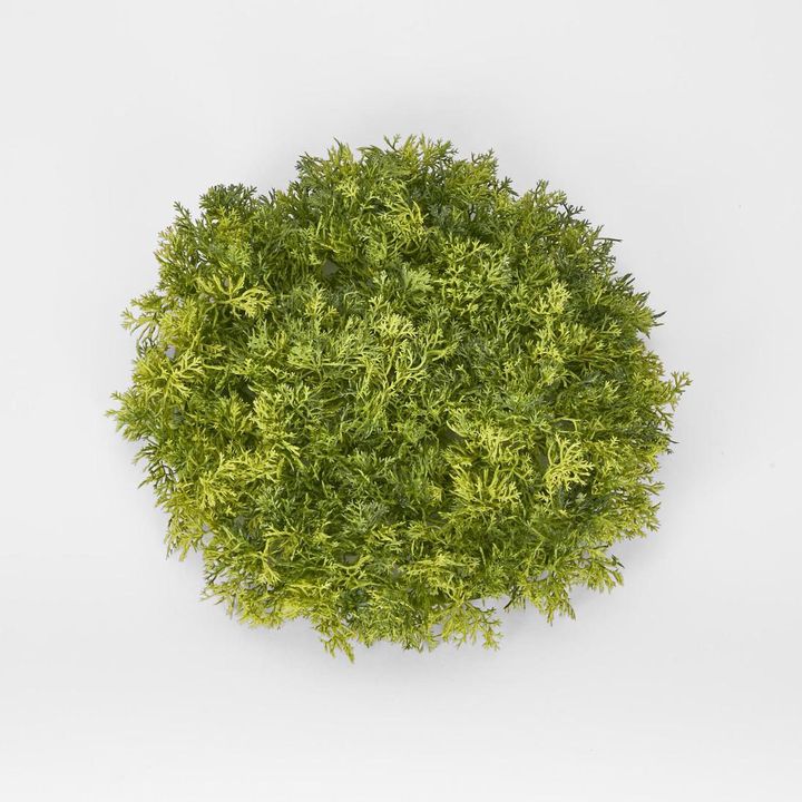 Moss Mat Round SML