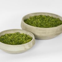 Moss Mat Round SML