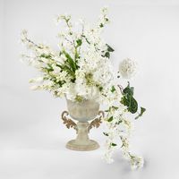 Ball Head Hydrangea White