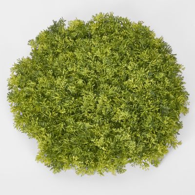 Moss Mat Round LGE