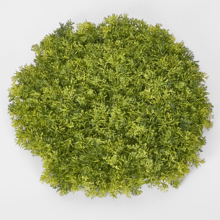 Moss Mat Round LGE