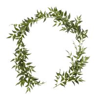 Garland Italian Ruscus