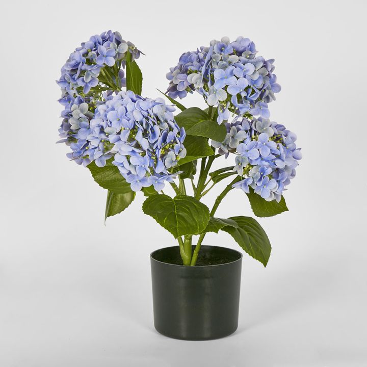 Potted Real Touch Hydrangea Blue 53cm