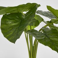 Potted Real Touch Philodendron 50cm