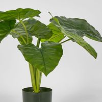 Potted Real Touch Philodendron 50cm