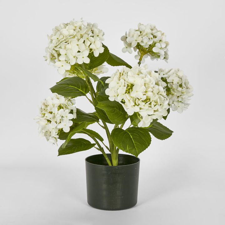 Potted Real Touch Hydrangea White 53cm