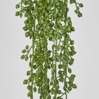 Real Touch Senecio Hanging Vine 73cm