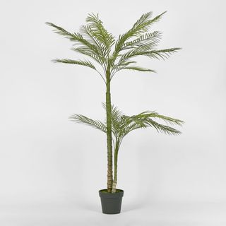 Double Stem Palm Tree 150cm