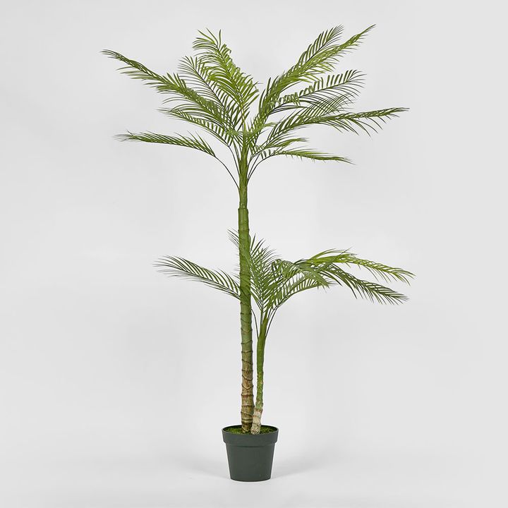 Double Stem Palm Tree 150cm