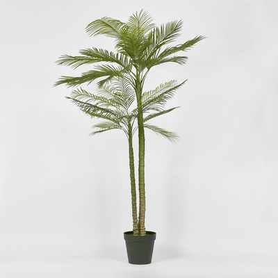 Double Stem Palm Tree 218cm