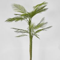 Double Stem Palm Tree 218cm