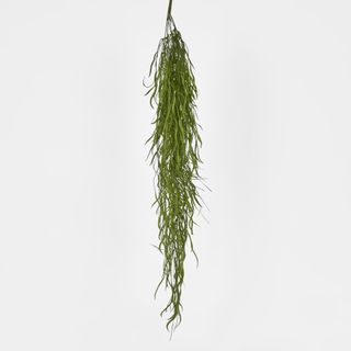 Hanging Grass Vine