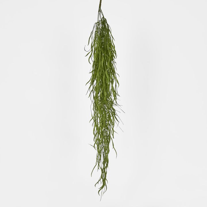 Hanging Grass Vine