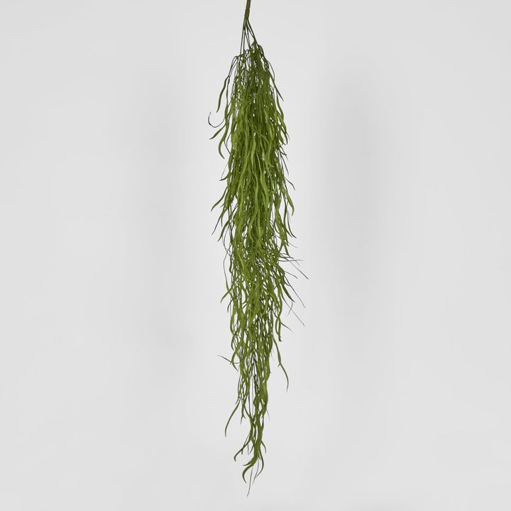 Hanging Grass Vine