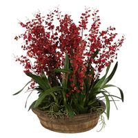 Willow Red Dancing Orchid Arrangement